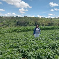 FarmWorks Agriculture Employee Joyce MacHaria's profile photo