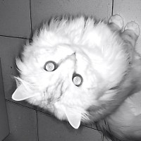SinoHyKey Technology Employee Reid Huang's profile photo
