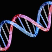 Genentech Employee Steve Hurst's profile photo