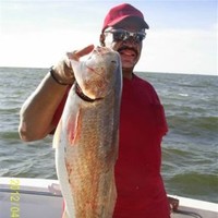 Toshiba International Corporation Employee Michael Dedeaux's profile photo