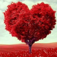 AX Transportation LLC. Employee Amy Castaneda's profile photo