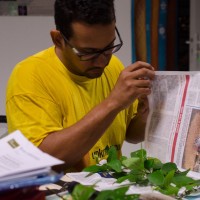 CHU Guyane Employee Marc-Alexandre Tareau's profile photo