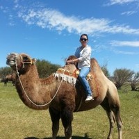 AmCham Mongolia Employee Handarmaa Ayush's profile photo