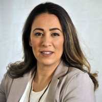 Zivan Levi Email