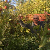 Rafik Ayvazyan Email & Phone Number
