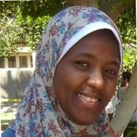 Mai Ibrahim Email