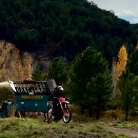 Intelli-gen Employee Rob Carroll's profile photo