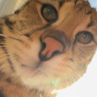Technopark Employee Roman Klygin's profile photo