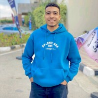 Engineeius Employee Mohammed Maher's profile photo