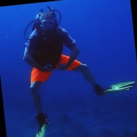 Buckman Employee David Rosenthal's profile photo