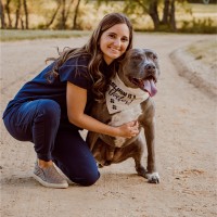 4 Paws Animal Hospital Employee Angela Serevetas's profile photo