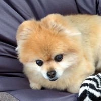 ACALL Employee 三浦 隆之's profile photo
