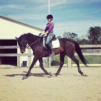 Danielle Henry Email & Phone Number