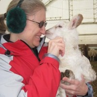 Informz Employee Deb MacAvoy's profile photo