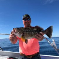 Davey Coach Sales Employee Tom Davey's profile photo