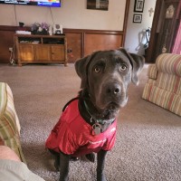 Mark Davis Email & Phone Number