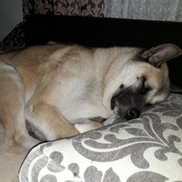 Kilia do's profile photo