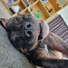Integrity Media Corp Employee Mj Whata's profile photo