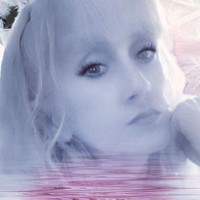 Jennifer Collis Email & Phone Number