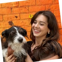 Ariel Savitz's profile photo