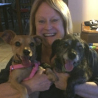 WoodWare Systems Employee Marsha Mundinger's profile photo