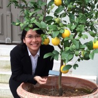 Ha Nguyen Email