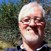 Mark White Email & Phone Number