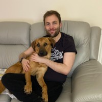 Tag Games, a Scopely Studio Employee Louis Dimmock's profile photo
