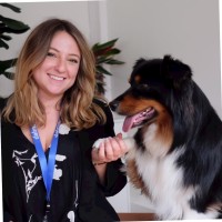 Dalma. Employee Shana Chemoul's profile photo