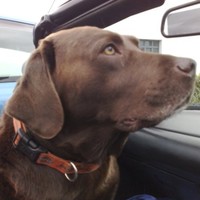 EnviroGroup Employee Woody Woods's profile photo