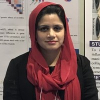 Maleeha Azam Email