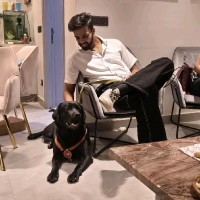 WhizHack Technologies Employee Vinayak Sharma's profile photo