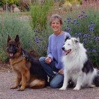 Peaceful Paws Dog Training Employee Pat Blocker's profile photo