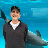 John Sprague Email & Phone Number