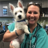 Monroe Veterinary Associates Employee Breanna Dugan's profile photo
