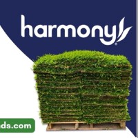 Harmony Outdoor Brands Employee Nicolas Sevigny's profile photo