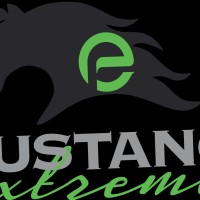 Mustang Energy Services, Inc. Employee David Smelser's profile photo