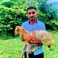 International Institute of Goat Management (IIGMA) Employee Vipin Verma's profile photo