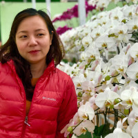 Anh Thai Email
