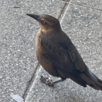 Bath & Body Works Employee Selma Eltayeb's profile photo