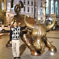Vinod Porwal Email