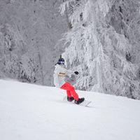 Hello Holidays Employee Popescu Sorin's profile photo