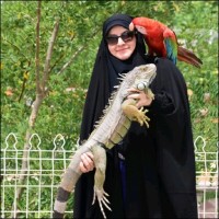 BW Broadcast Employee Fatemehsadat Jafari's profile photo