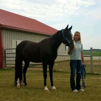 Connie Goldberg Email & Phone Number