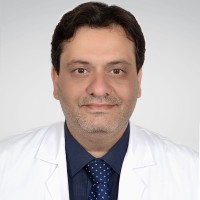 Hamed Sattari Email