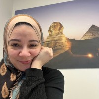 Noha Amer Email & Phone Number