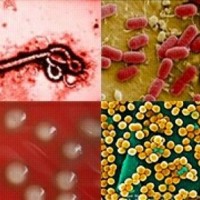 Safety Plus LLC Employee Paulette Chamberlin's profile photo