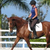 Cyndy DeMeter