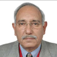 Ballistic Learning Employee Ramesh Anand's profile photo