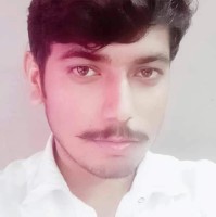 Intsar Ali Email